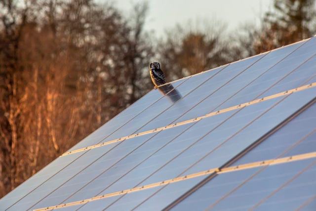 Quelle est la durée de vie réelle d'un panneau photovoltaïque ?