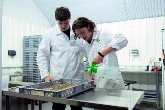 Comment tester un onduleur photovoltaïque en cas de panne ?